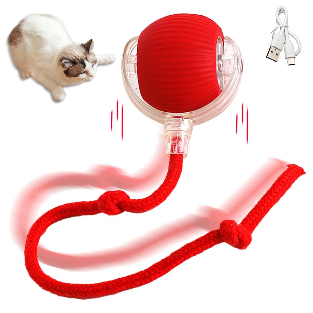 Interactive Cat Toy Ball Super Drive Cat Rolling Balls With Bird Chirping Motion Activated Sensor Pet Kitten Teaser Game Toys