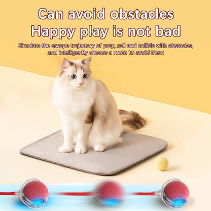 Interactive Cat Toy Ball Super Drive Cat Rolling Balls With Bird Chirping Motion Activated Sensor Pet Kitten Teaser Game Toys