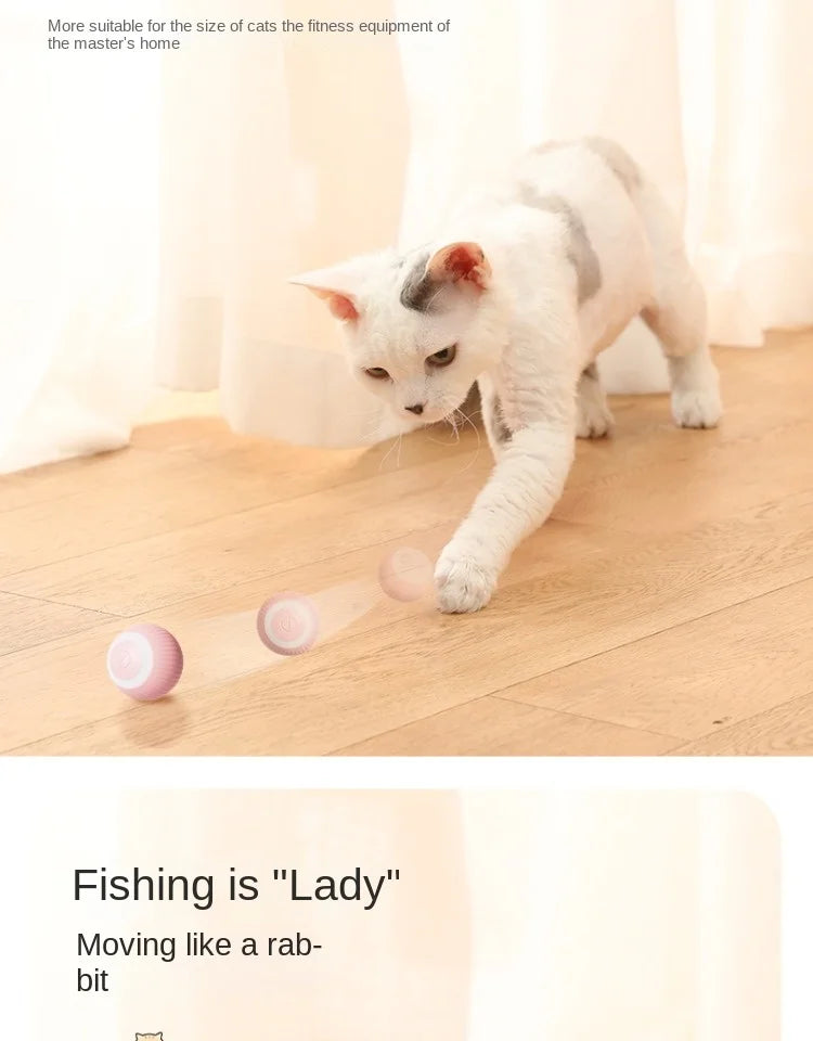 Cat Toy Indoor Automatic Rolling Magic Ball,Cat Interactive Ball Smart Cat Toys Electronic Interactive , Cat Game Accessories