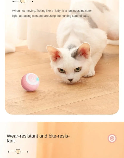 Cat Toy Indoor Automatic Rolling Magic Ball,Cat Interactive Ball Smart Cat Toys Electronic Interactive , Cat Game Accessories