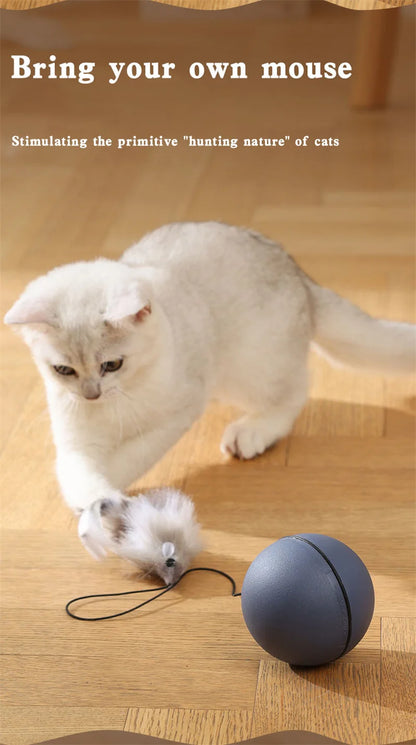 Kimpets Cat Toys Mouse Teaser Ball Fun Moving Toy For Pet Cat Dog Electric Teaser Ball Automatic Intelligent Rolling Ball