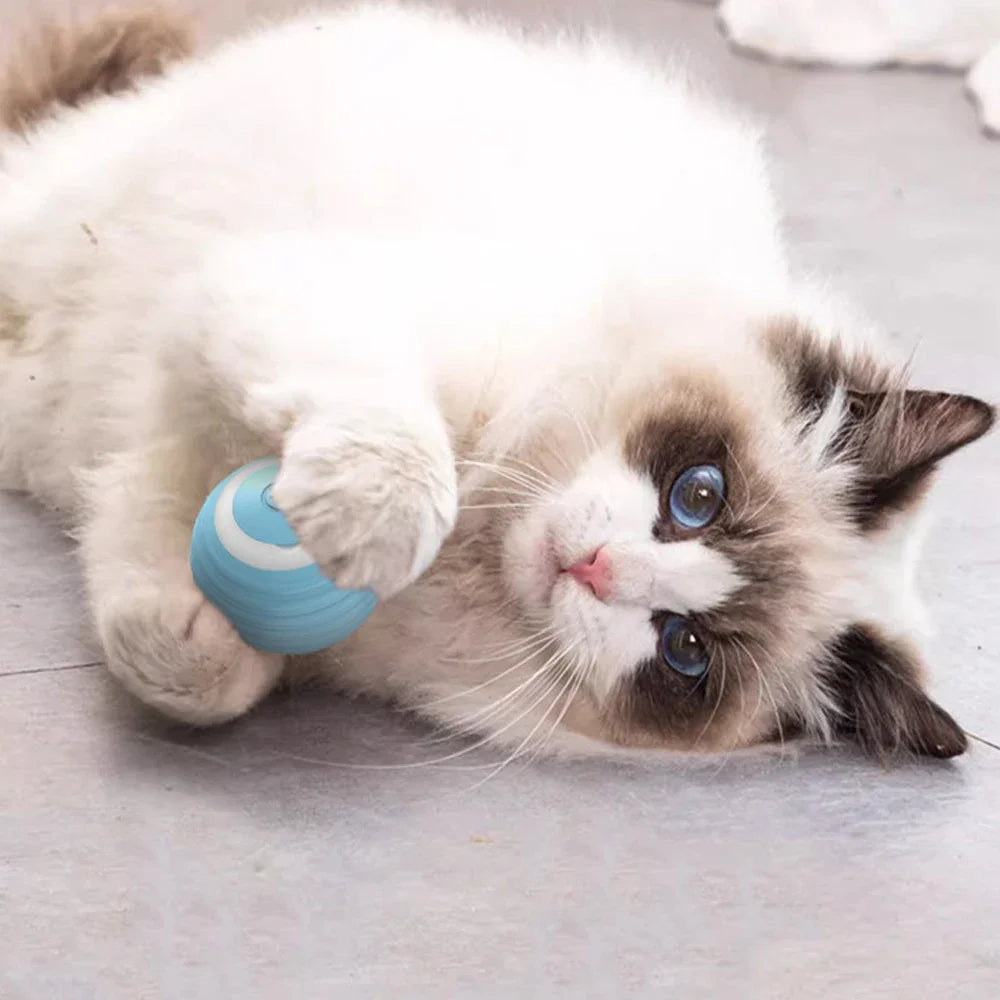 Intelligent cat toys automatically tease cats, grind teeth, and resist biting pet balls. Dog training toys, rolling balls