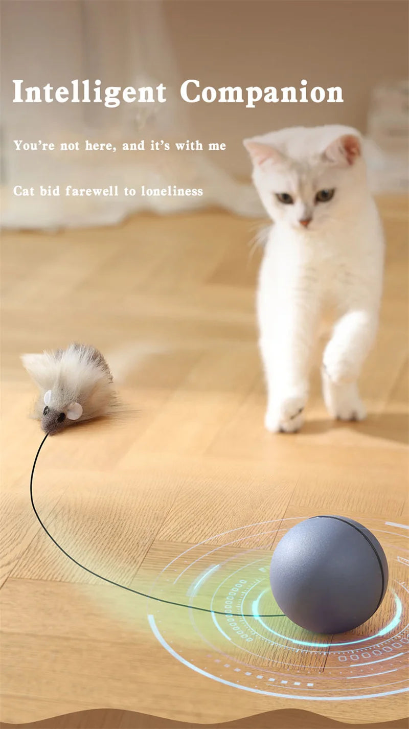 Kimpets Cat Toys Mouse Teaser Ball Fun Moving Toy For Pet Cat Dog Electric Teaser Ball Automatic Intelligent Rolling Ball