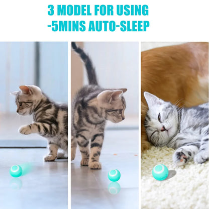 Interactive Cat Toy Ball 360° Automatic Rotating Rolling Ball Accessories for Cats Toys With USB Charging Function Pet Things