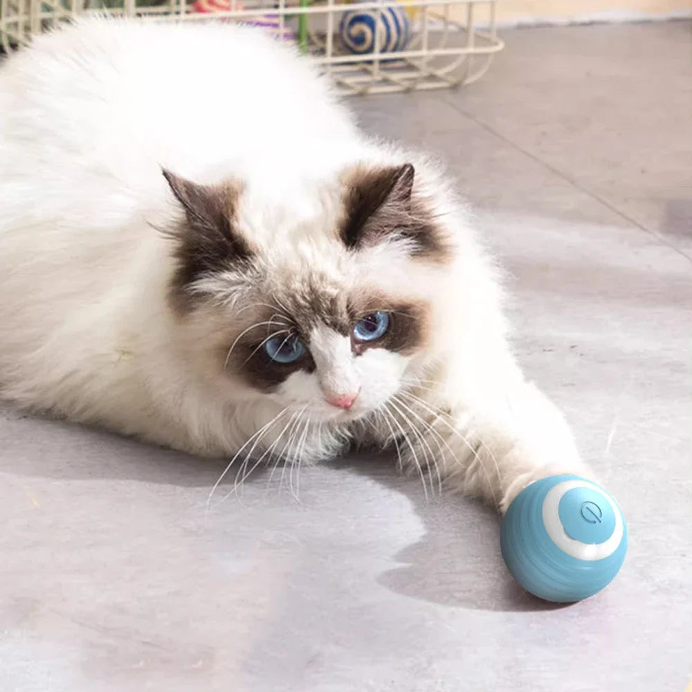 Intelligent cat toys automatically tease cats, grind teeth, and resist biting pet balls. Dog training toys, rolling balls